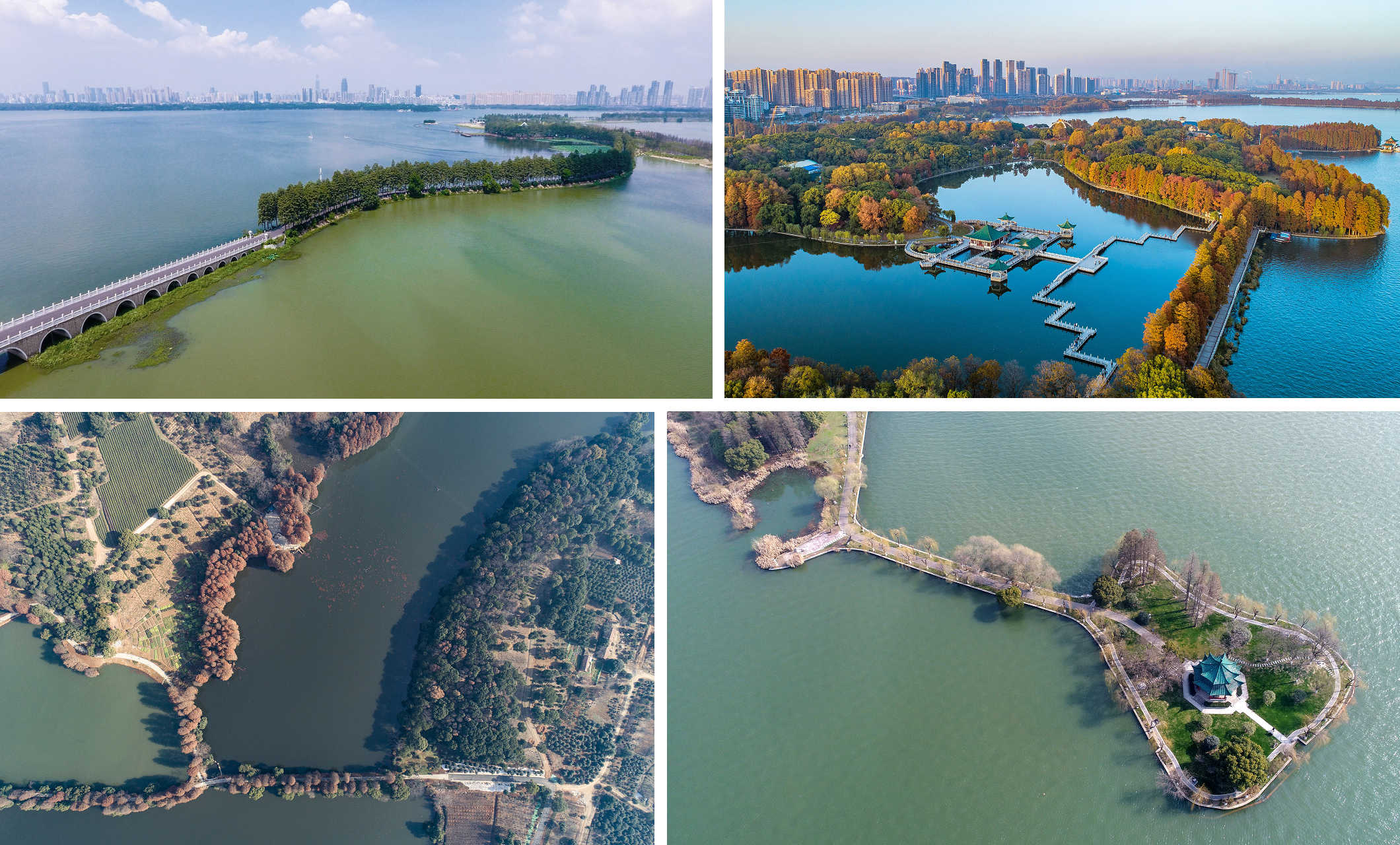 5A級東湖綠道連結周邊湖畔與各島渚，隨著四季變換而景色迥異。。