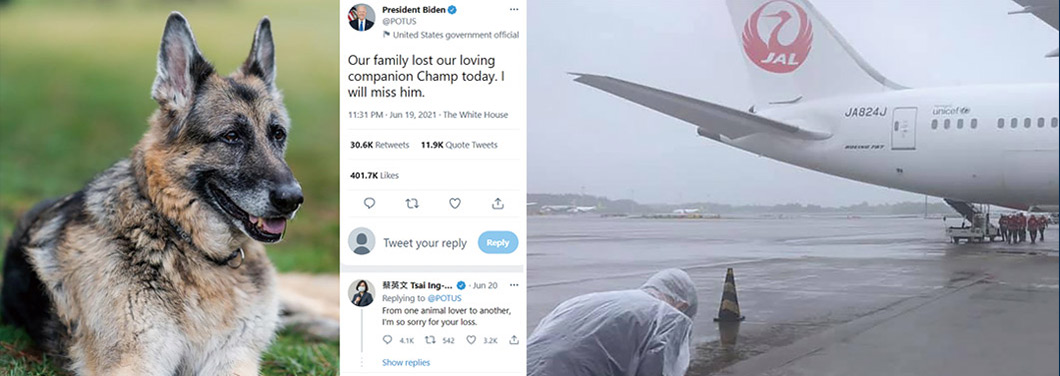 左圖擷取自2021年6月20日的Twitter@President Biden，美國總統拜登於推特上宣布愛犬「冠軍」（Champ）離世，蔡英文當日回覆道：「同樣身為動物愛好者，我對你痛失愛犬感到遺憾。」右圖擷取自2021年6月4日謝長廷臉書，當天日本將日人不願施打的AZ疫苗提供給臺灣，謝長廷在風雨中，對著運送疫苗的航班鞠躬哈腰，情溢於表。臺獨政客抗疫無能又拒絕大陸協助，不但無法解民於倒懸，卻抓緊時機諂媚美日。
