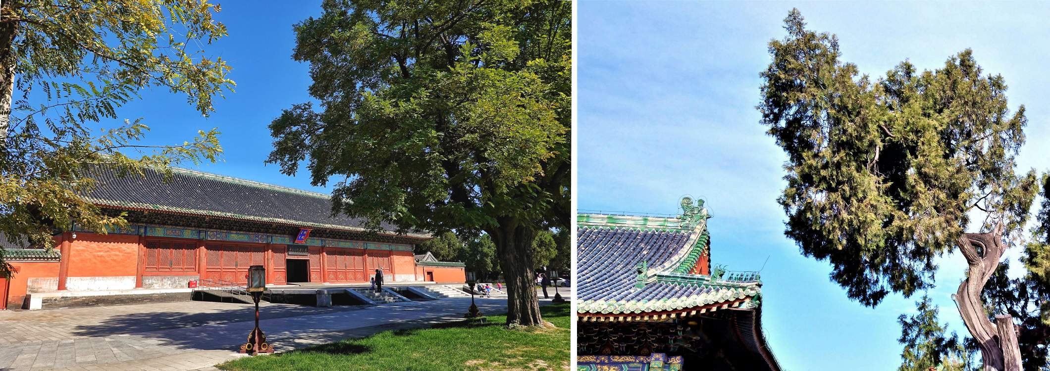 先農壇太歲殿正門（左）、先農壇古木參天（右）