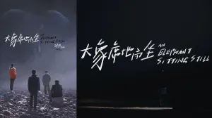 2019年1月11日在臺灣上映的電影《大象席地而坐》，片中提到瀋陽的動物園裡有一隻大象「就一直坐在那，可能有人老拿叉子扎牠，也可能牠就喜歡坐在那，然後所有人就跑過去，抱著欄杆看，但有人扔什麼吃的過去，牠也不理」。